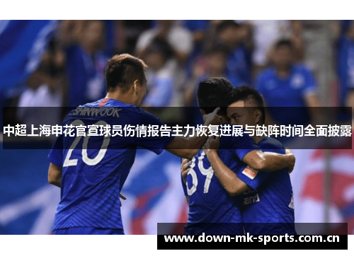 中超上海申花官宣球员伤情报告主力恢复进展与缺阵时间全面披露 中超上海申花官宣球员伤情报告主力恢复进展与缺阵时间全面披露