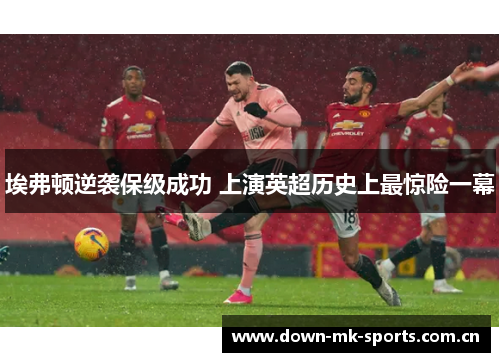 埃弗顿逆袭保级成功 上演英超历史上最惊险一幕 埃弗顿逆袭保级成功 上演英超历史上最惊险一幕